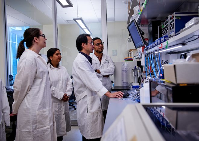 Институт гуманитарного развития: стратегия эволюции образовательной среды - 1