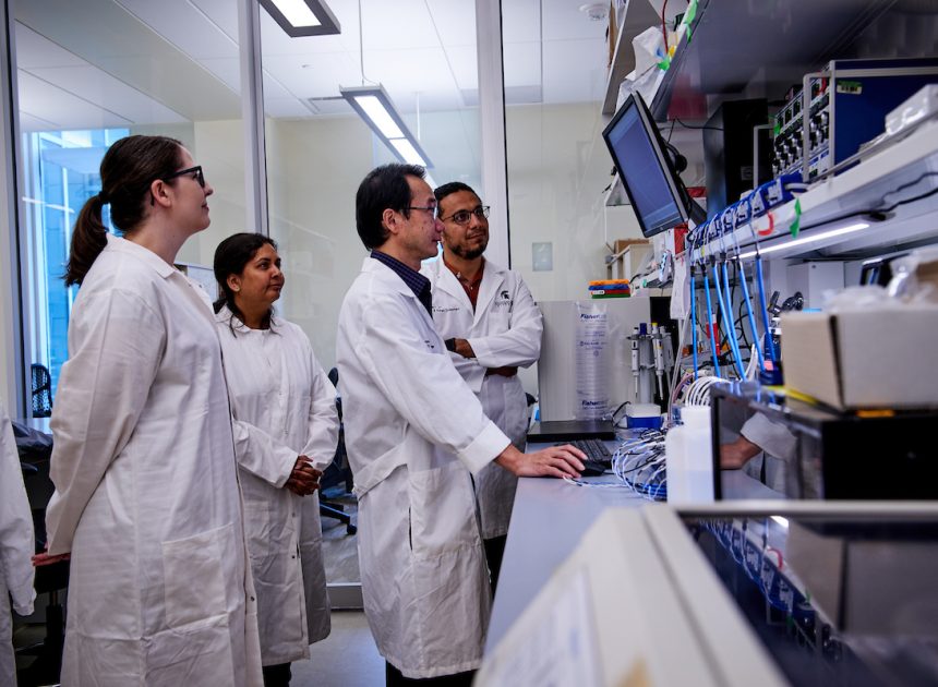 Институт гуманитарного развития: стратегия эволюции образовательной среды